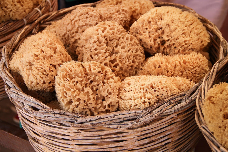 Natural sea sponges arranged in a wicker basket