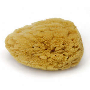 Yorkwell Apothecary natural sea bath sponge, approximately 3–4 inches
